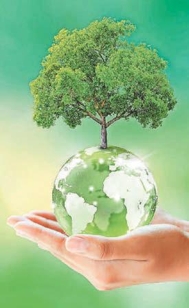 THE FUTURE IS GREEN