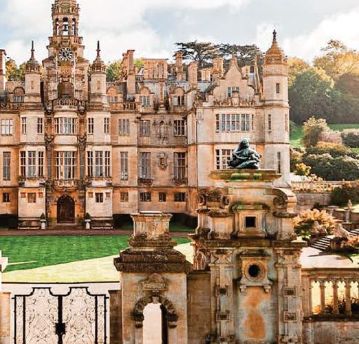 Rare chance to see stunning bluebells at Harlaxton Manor