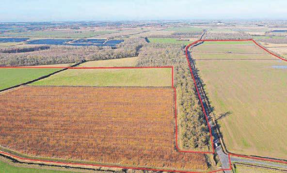 Objection to solar farm may be withdrawn after fresh archaeology digs