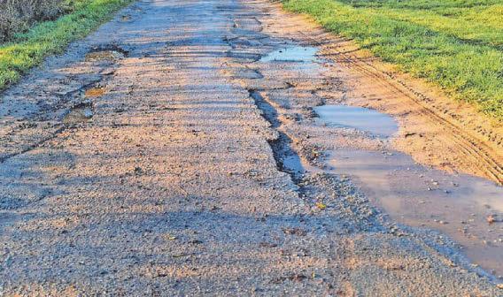 'There are so many holes I should open golf course'
