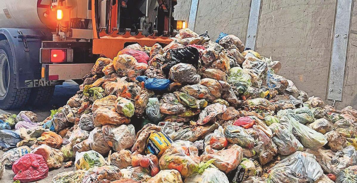 Food waste roll-out is going well despite 'teething problems'