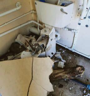 Pensioners who devote life to owls 'devastated after their sanctuary ruined by vandals