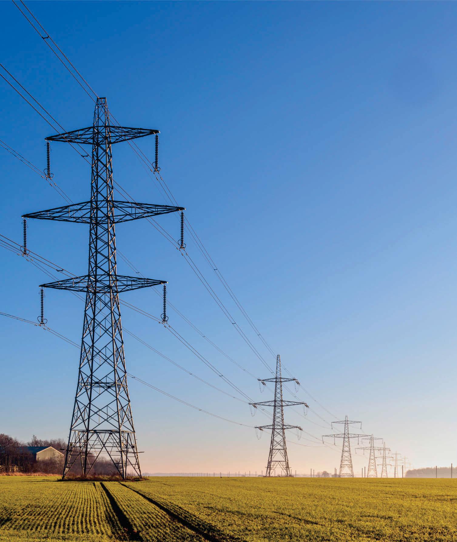 'Pylon plans will destroy county's landscape and are nothing short of criminal'