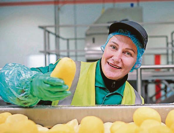 More than 65 recruits needed to support potato supplier Branston's growth