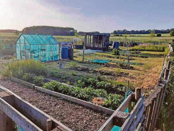 Allotment talks break down with decision likely to be settled in court
