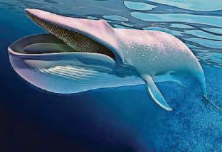 COLOSSAL CREATURES