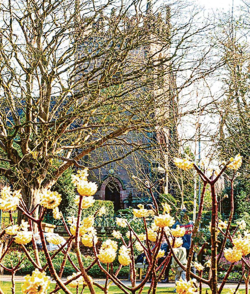 Uncomfortable truths go straight to heart of our defence polcy