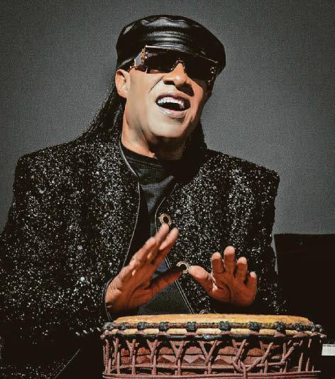 Wonderful news for Stevie fans