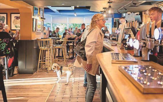 'Vibrant' pub opens doors again after major revamp