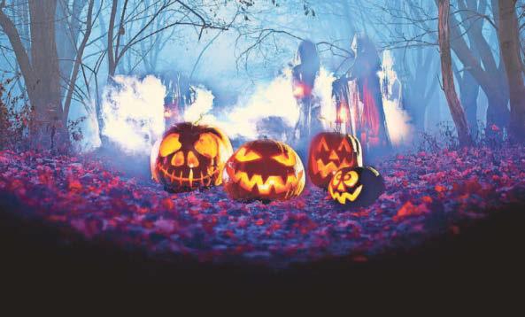 Halloween returns to Quarry Bank with a brand-new after-dark adventure for all ages