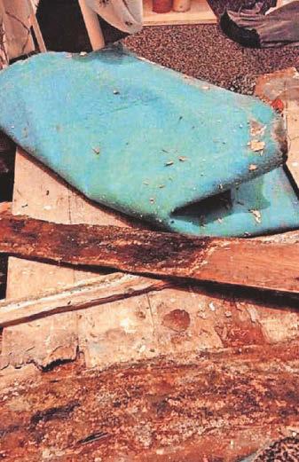 'I've complained about mould and rats for 3 years'