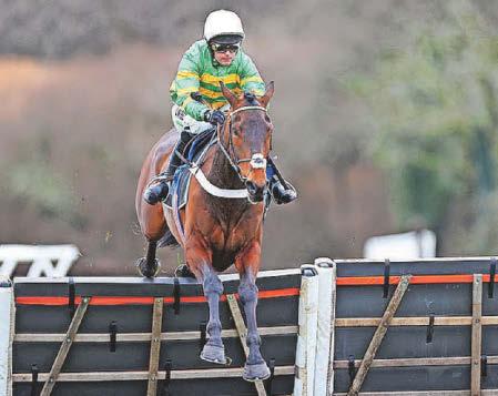 HORSE POWER Toi can Impose himself on long distance hurdle field