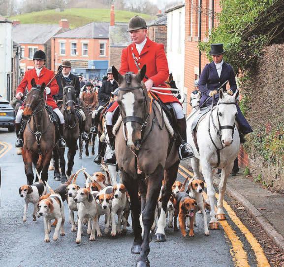 Poll - majority of people think trail hunting should be illegal