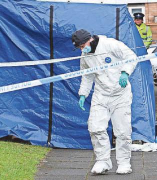 Tragic stabbing victim was 'screaming for help'