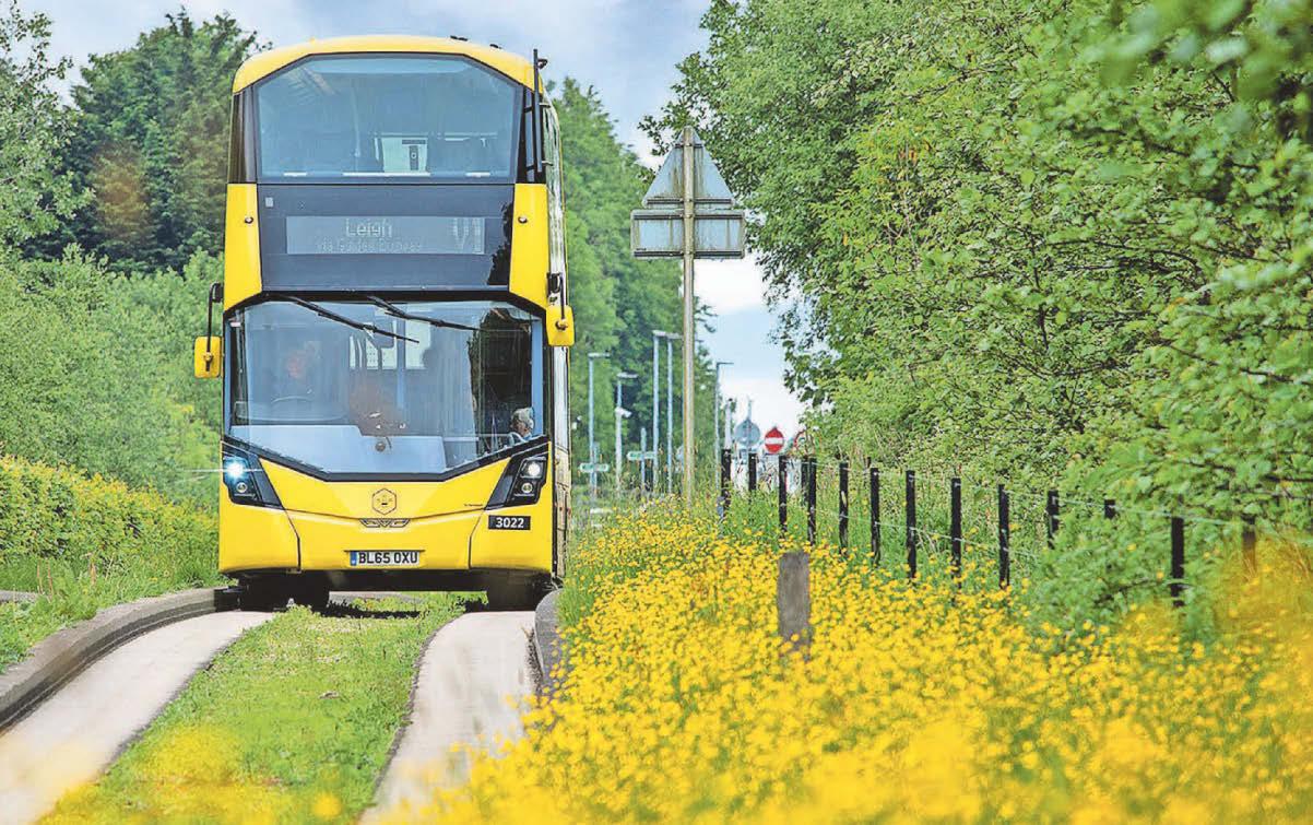 Walkers go back to their routes