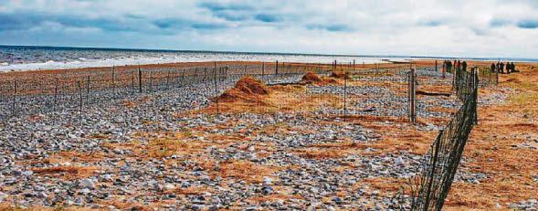 Tern up the security