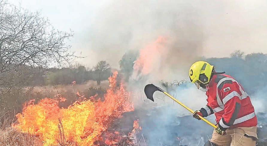 'Animals die as many fires being set deliberately'