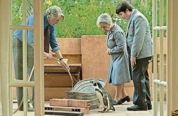 Animals humanise people... and they make them more decent humans to each other