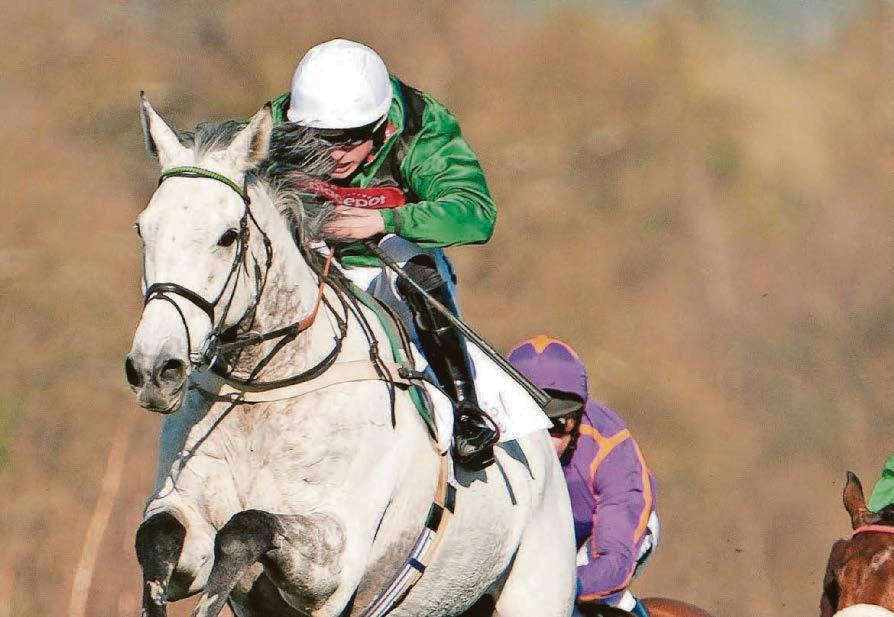 Numitor to reign again in Haydock Veterans' Chase