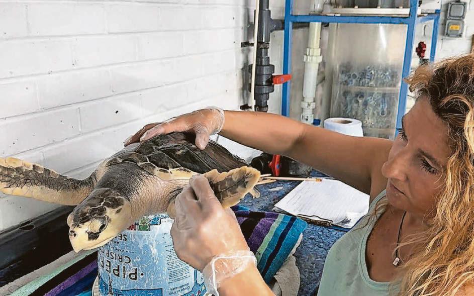 POWER CUT FORCES SEA ZOO TO CLOSE ON BUSY DAY