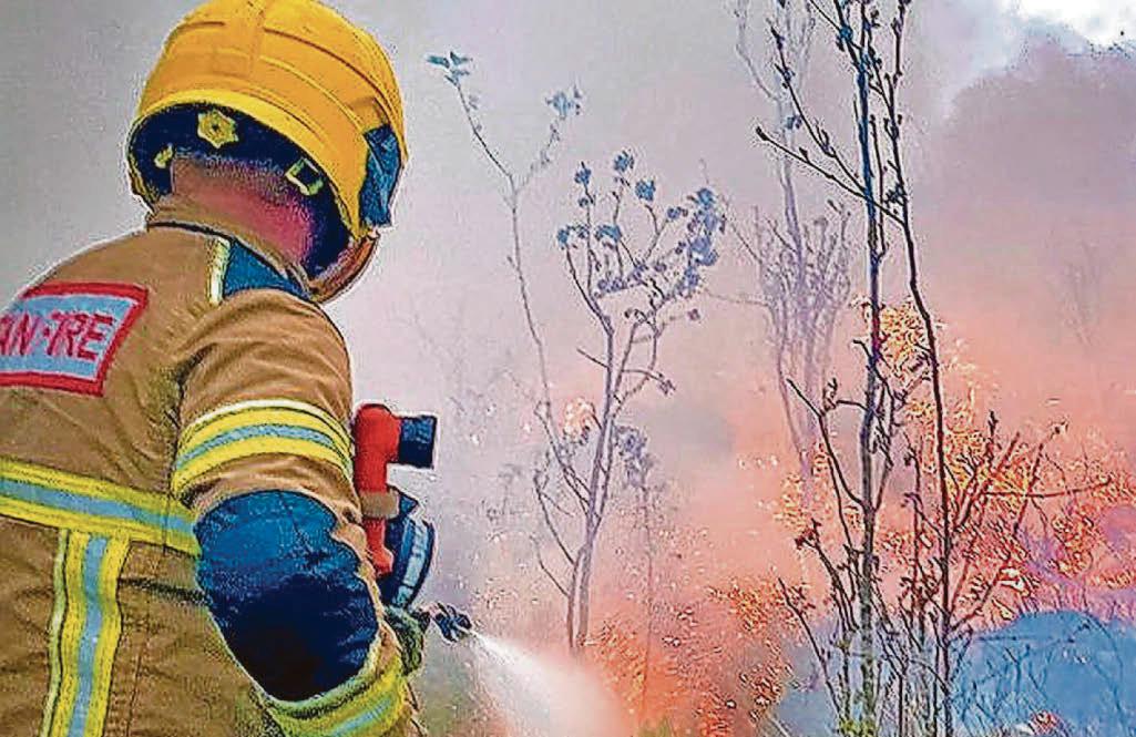 Signs that rewetted peatland can stall spread of wildfires