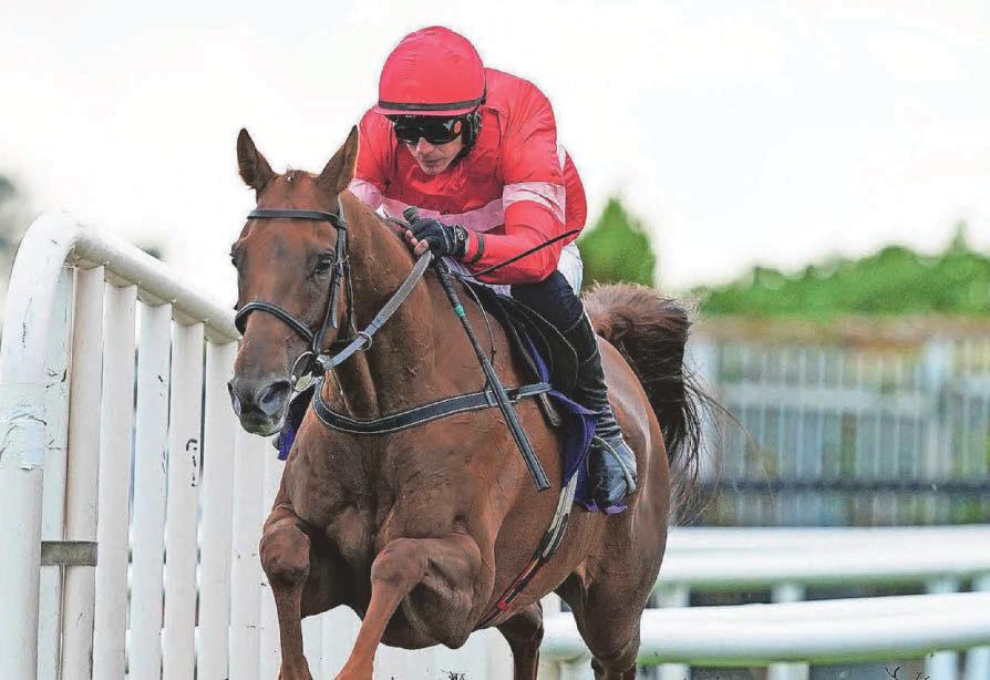 Hero set to strike Gold and Ramazan to win at Haydock