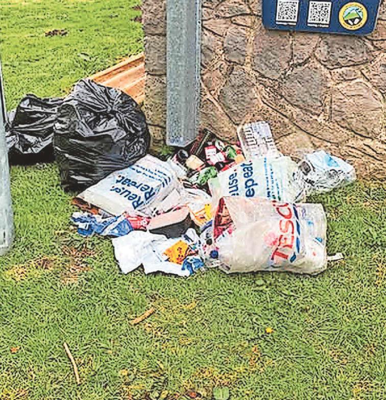 'Disgusting excuse for humans' as rubbish left at Eryri beauty spot