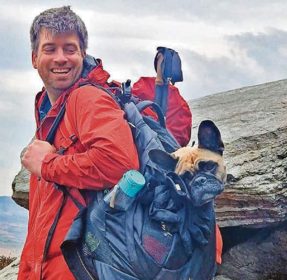 Astonishment as tiny dogs with little legs are saved from treacherous peak