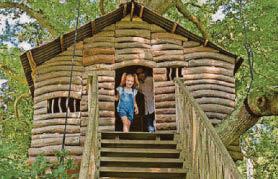 FUN FOR ALL THE FAMILY