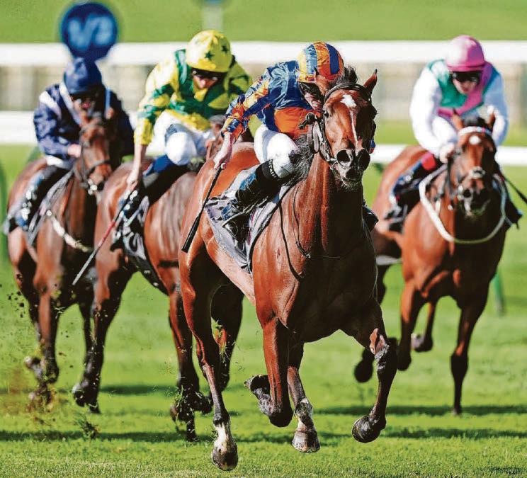 Expanded to win 2,000 Guineas at Newmarket