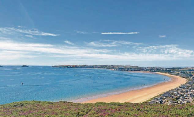 LOCALS FUME AS DOG POO BAGS DUMPED AROUND BEAUTY SPOT AND BEACH