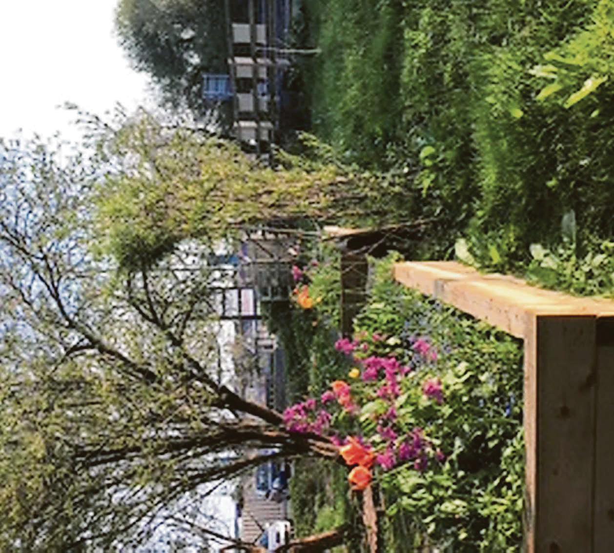 Plannu gardd cymunedol