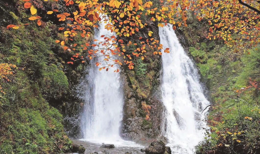 'UK's best hidden falls walk' now out of bounds