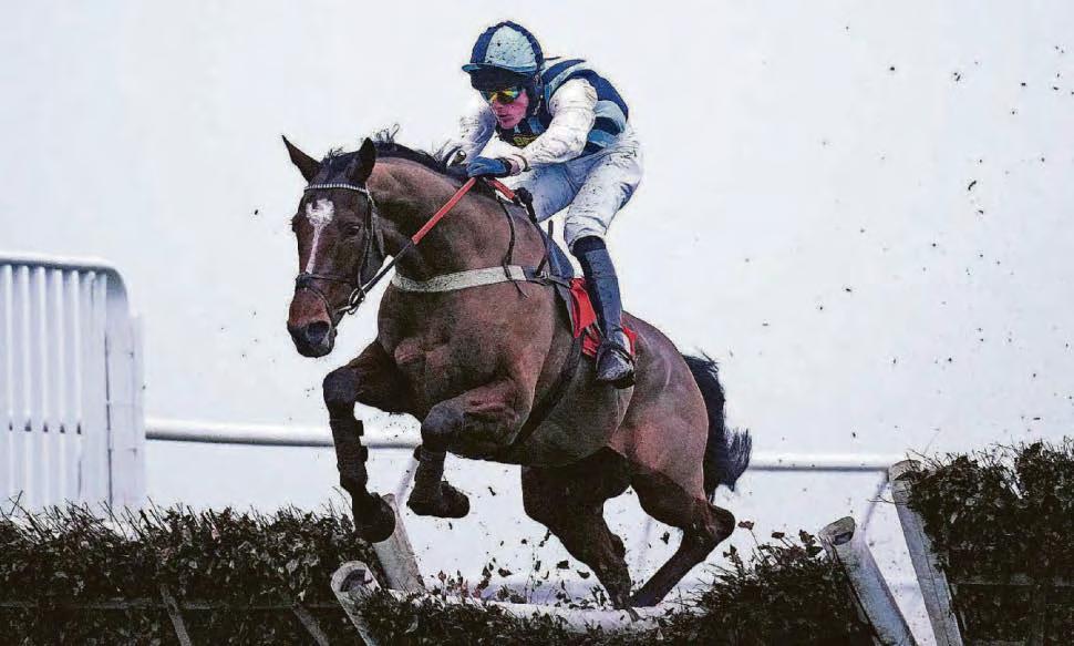 Big Boy Bobby can win the Swinton Hurdle at Haydock