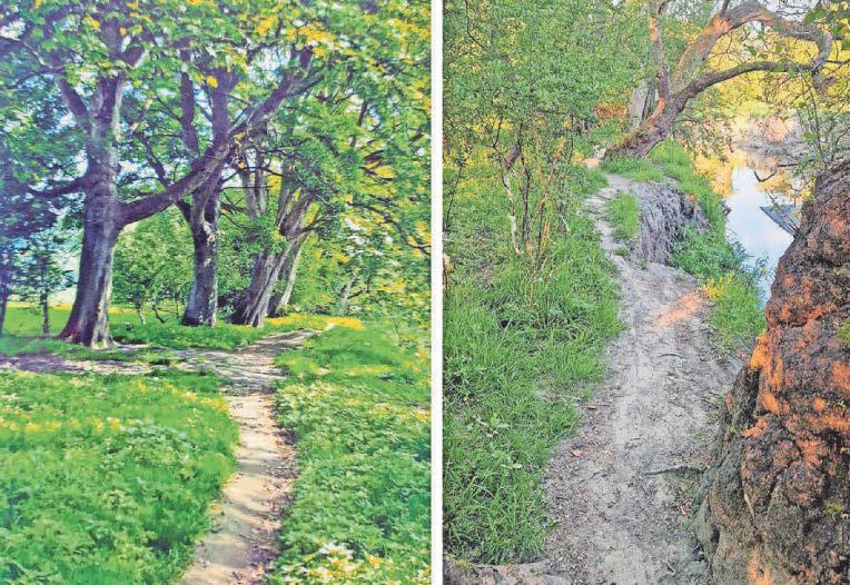 'It was the best place to take families... now it has been destroyed'