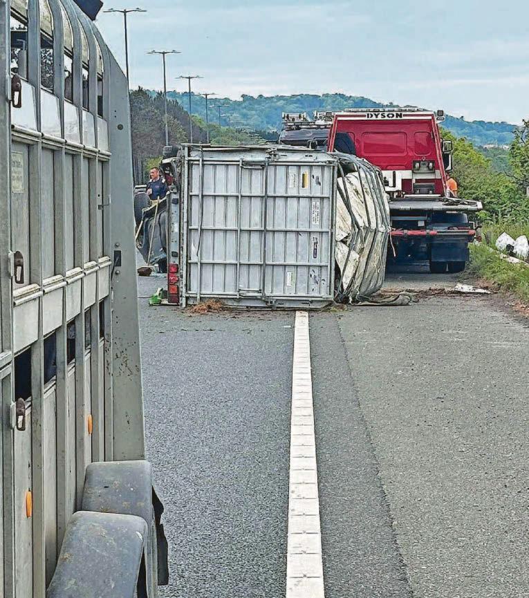 Farmer 'lucky to be alive' as cattle trailer tips over in middle of expressway