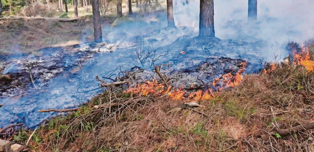 MOST WILDFIRES IN WALES THIS YEAR 'DELIBERATE' SAY NRW
