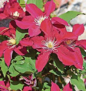 It's Chelsea time again