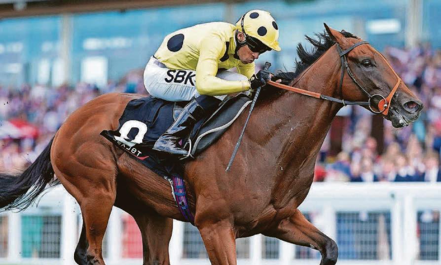 Rosallion can win Lockinge Stakes at Newbury today