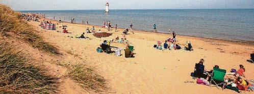 Why diggers and dumper trucks will move in on popular beach