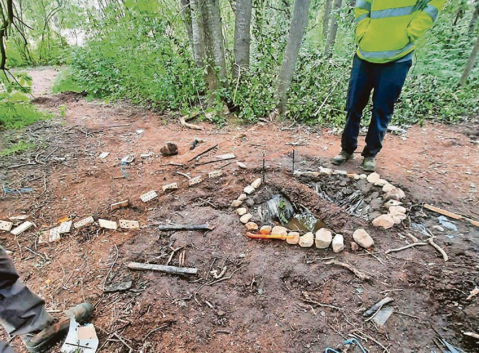 What police found in protected woodland has divided opinion