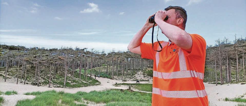 Barbecues and camp fires banned at beach