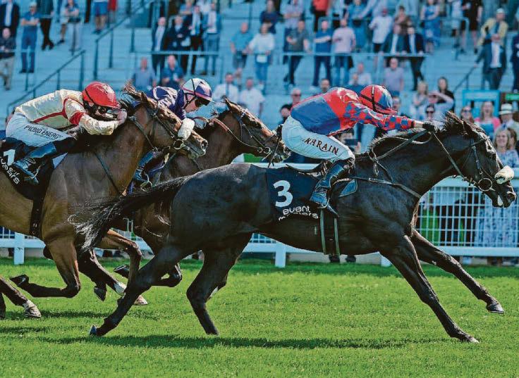 Big Mojo's eyeing Sandy Lane Stakes at Haydock