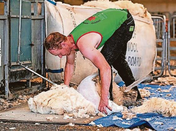 Chance to explore Welsh farming in Rhug open day