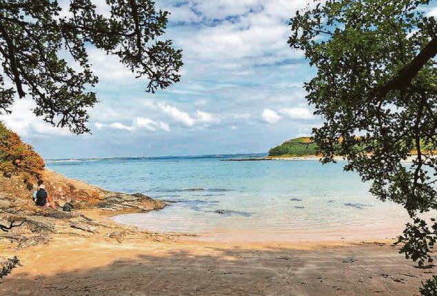 Beauty spot overwhelmed with volunteers after fallout from holiday park firm's woes