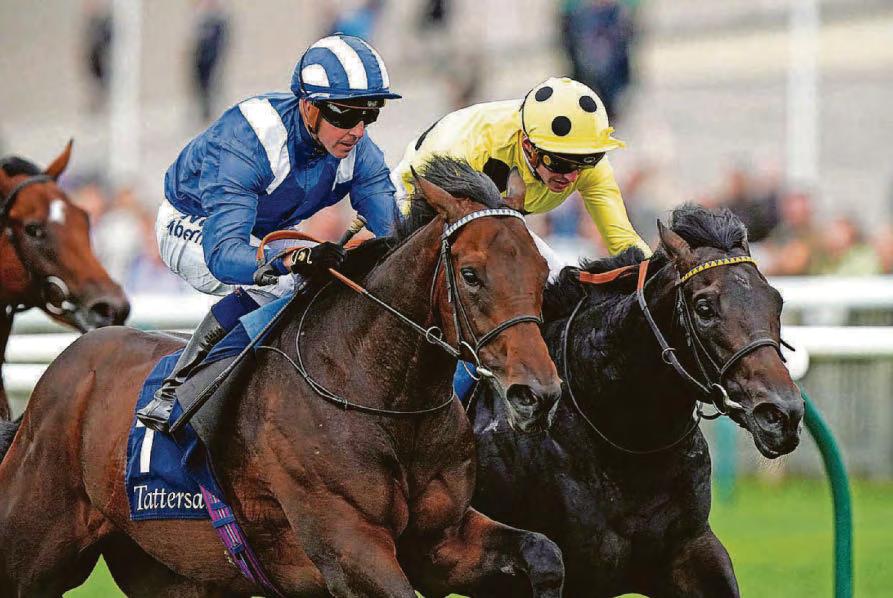 Alyanaabi is one to beat in the John Of Gaunt Stakes