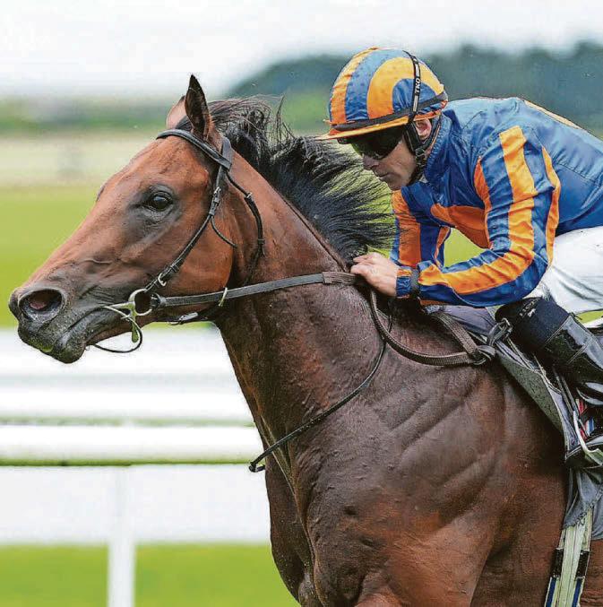 The Lion In Winter to roar to Derby victory at Epsom