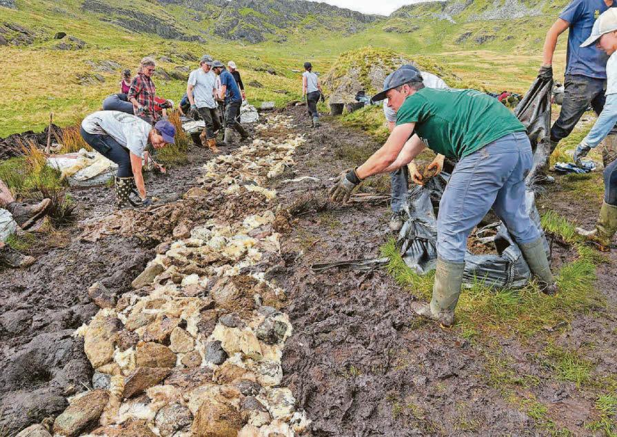 Sheep's wool used to make 'floating Roman footpaths'