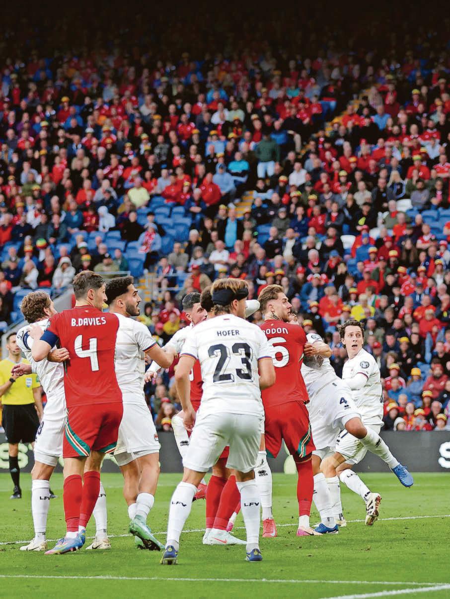 Wales get job done but win marred by injury