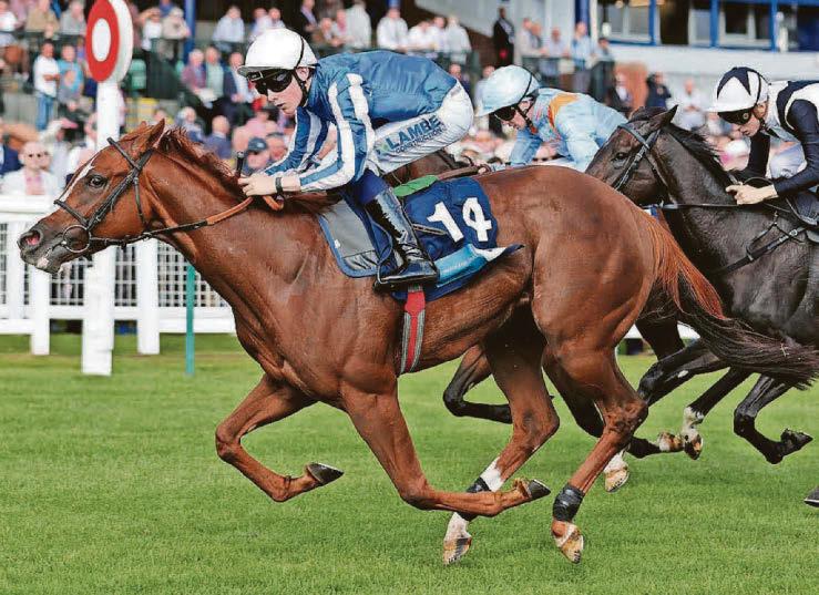 Star Of Mehmas to win the Scurry Stakes at Sandown